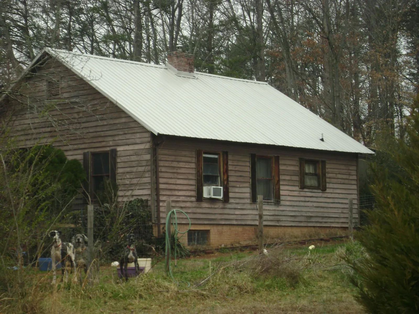 White metal roof on an old wood sided farmhouse, from a Metal Roof Installation job in Silverton